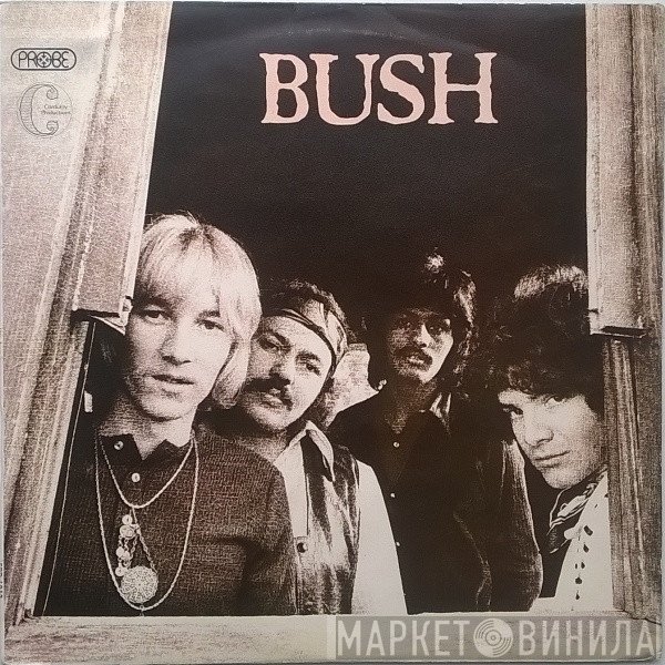 Bush  - Bush