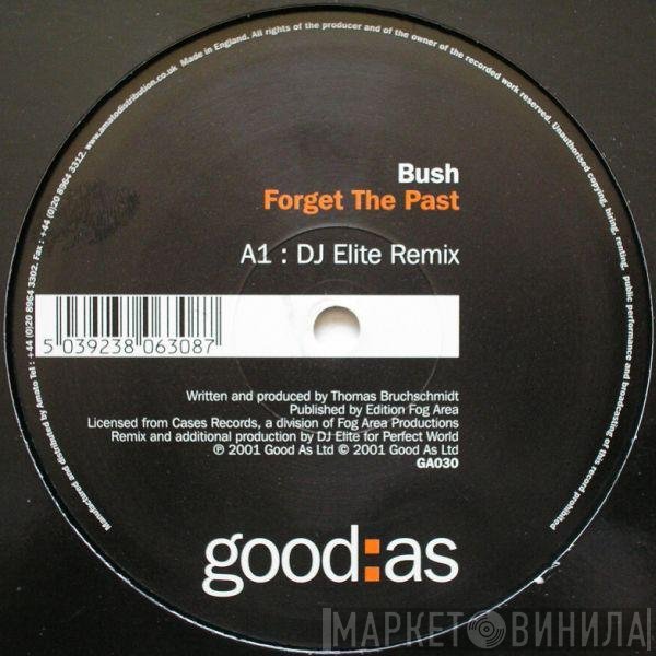 Bush  - Forget The Past