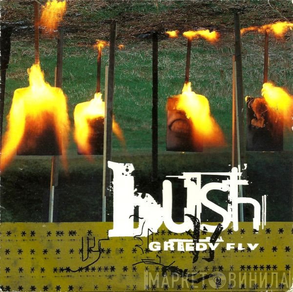 Bush - Greedy Fly