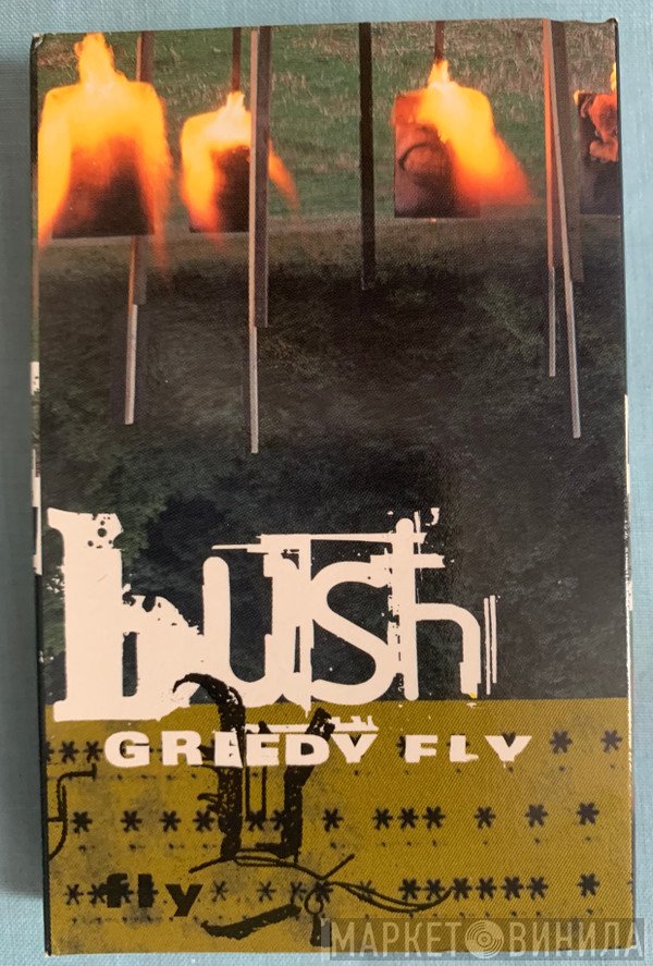 Bush  - Greedy Fly