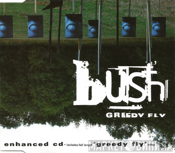 Bush  - Greedy Fly