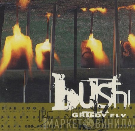 Bush  - Greedy Fly