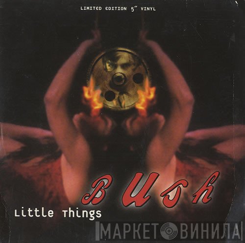 Bush  - Little Things