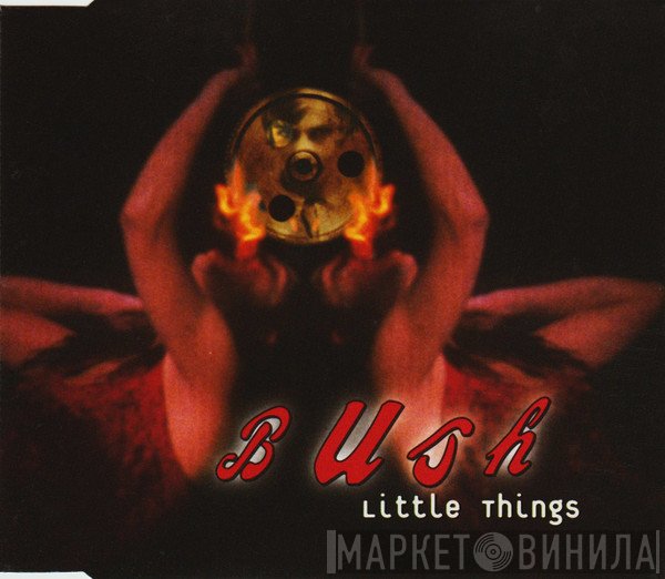 Bush  - Little Things