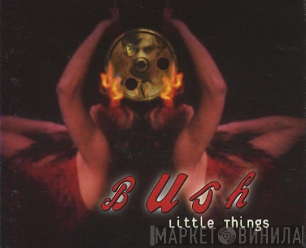Bush  - Little Things