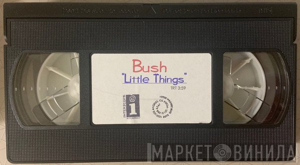 Bush  - Little Things