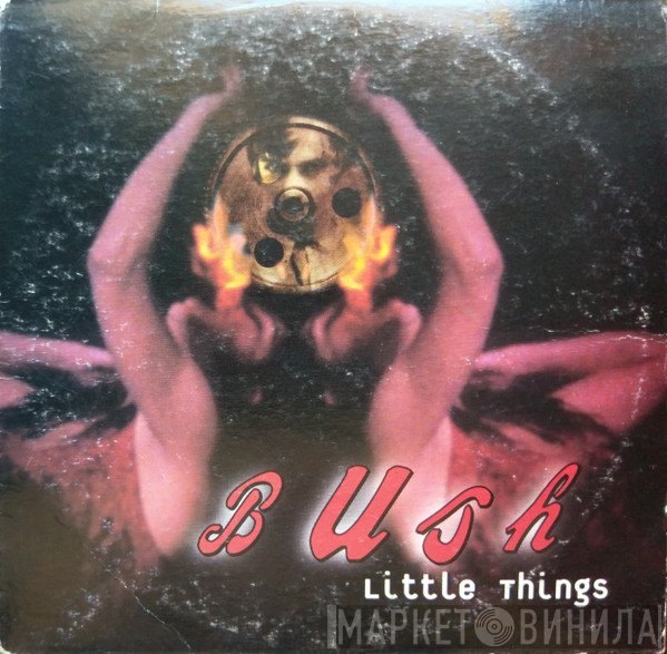 Bush  - Little Things