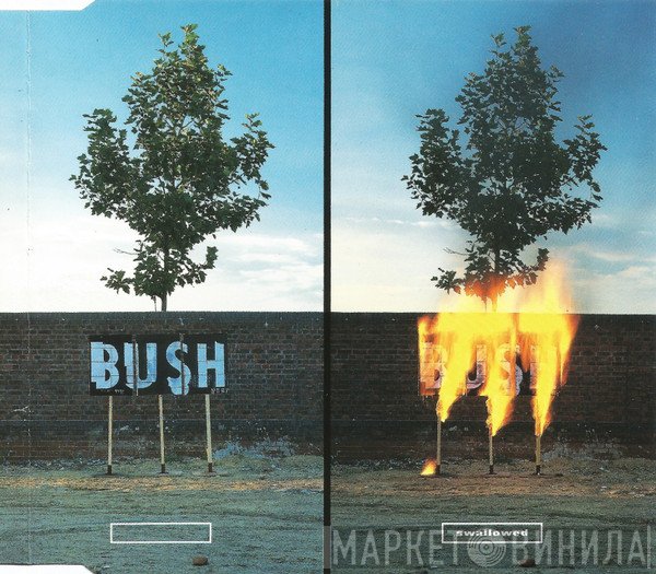 Bush  - Swallowed