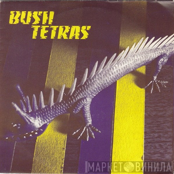 Bush Tetras  - Too Many Creeps
