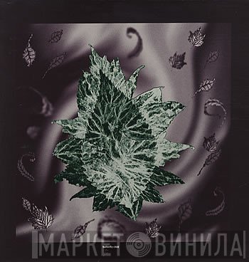 Butterfly Child - Eucalyptus