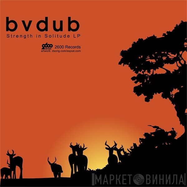 Bvdub  - Strength In Solitude LP