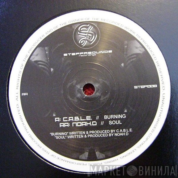 C.A.B.L.E., Noah D - Burning / Soul