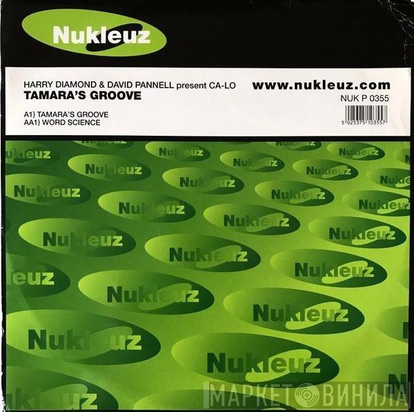 Ca-Lo, Harry Diamond, David Pannell - Tamara's Groove / Word Science