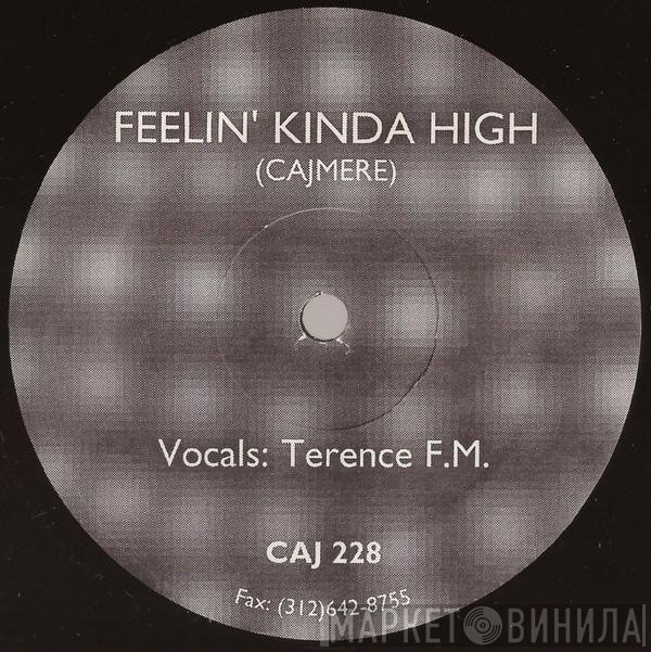 Cajmere  - Feelin' Kinda High