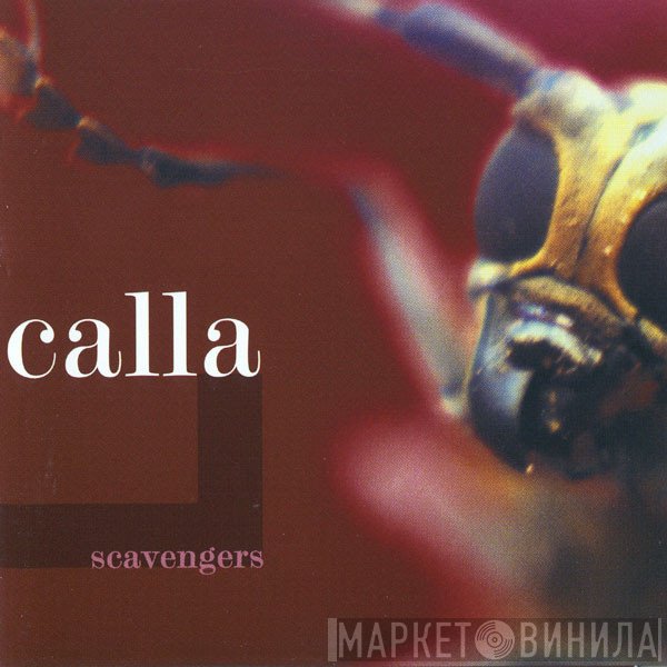 Calla  - Scavengers