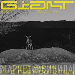 Calvin Harris & Rag'n'Bone Man  - Giant