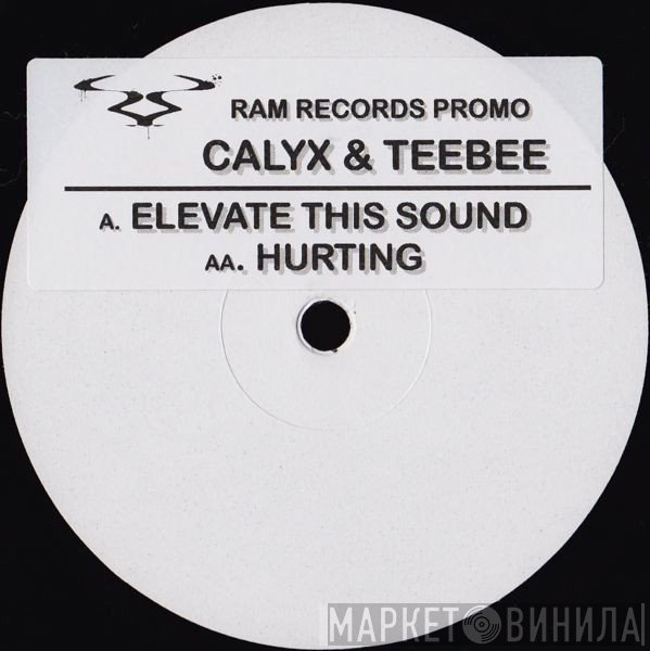 Calyx & Teebee - Elevate This Sound / Hurting