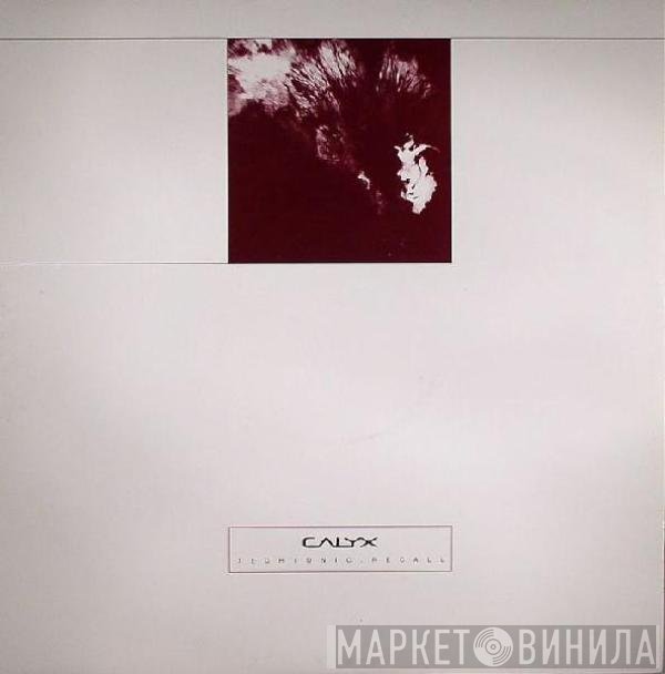 Calyx - Techtonic / Recall