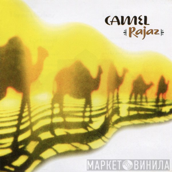 Camel  - Rajaz