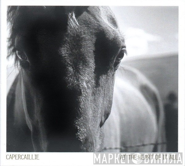 Capercaillie - At The Heart Of It All