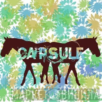Capsule   - Capsule