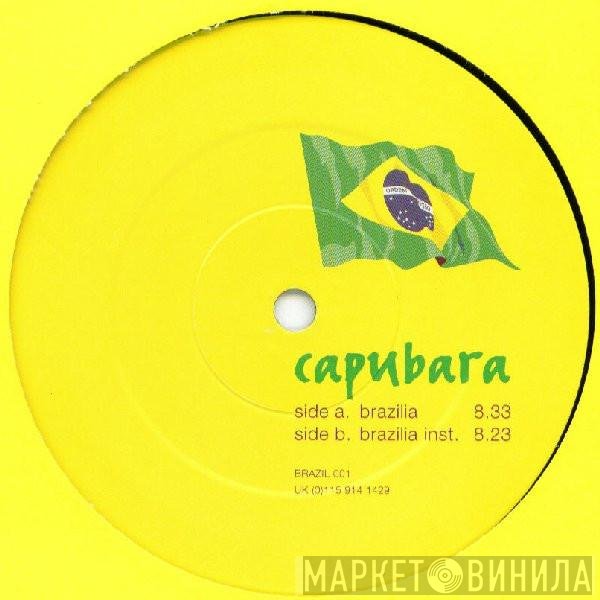 Capubara - Brazilia