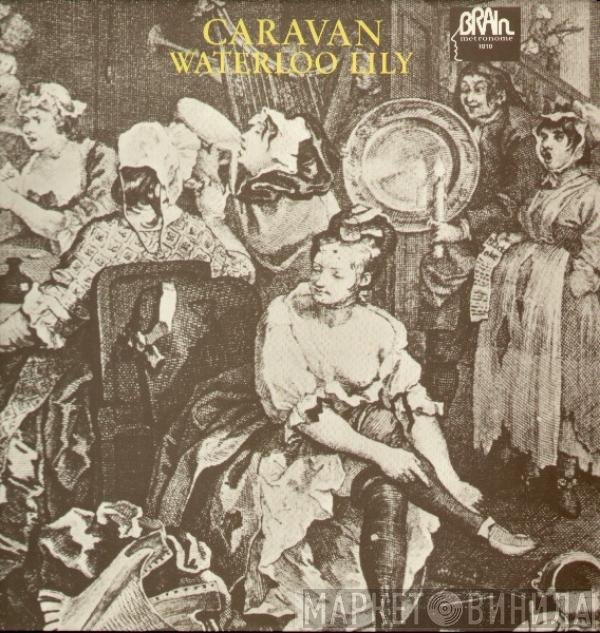 Caravan  - Waterloo Lily