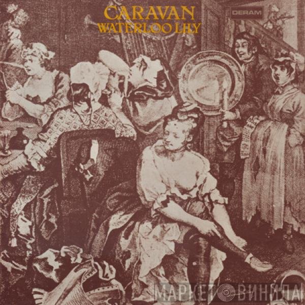 Caravan  - Waterloo Lily