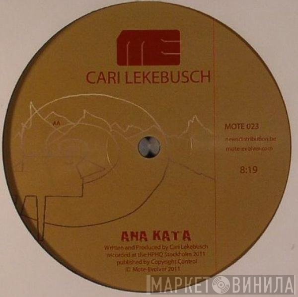 Cari Lekebusch  - Third Eye Vision