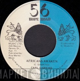 Carl Dawkins - Africans Awaken
