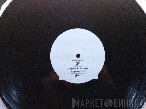 Carola Pisaturo - Appendix F