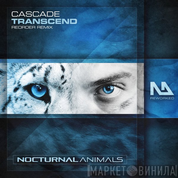 Cascade  - Transcend (ReOrder Remix)