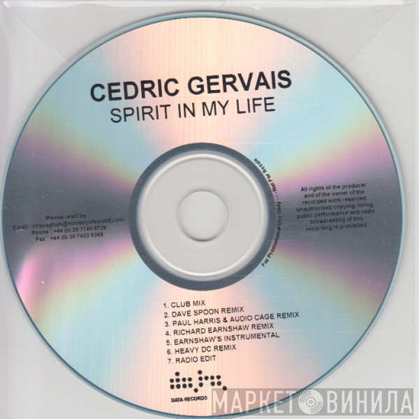 Cedric Gervais  - Spirit In My Life