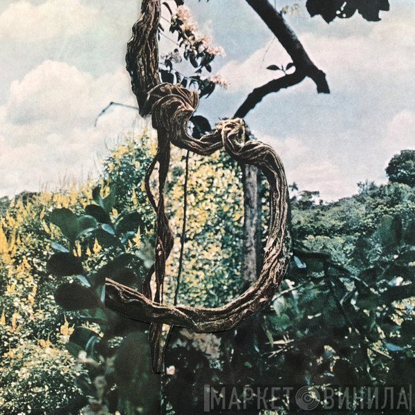 Celer + Forest Management  - Landmarks