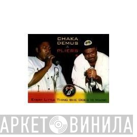 Chaka Demus &amp; Pliers - Every Little Thing She Does Is Magic