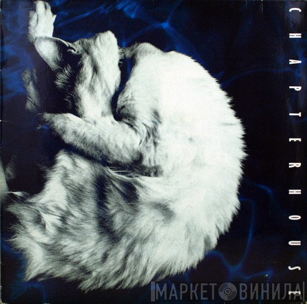 Chapterhouse  - Whirlpool