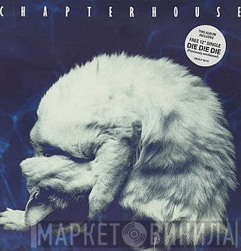 Chapterhouse  - Whirlpool