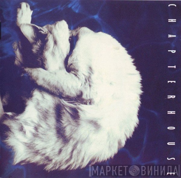 Chapterhouse  - Whirlpool