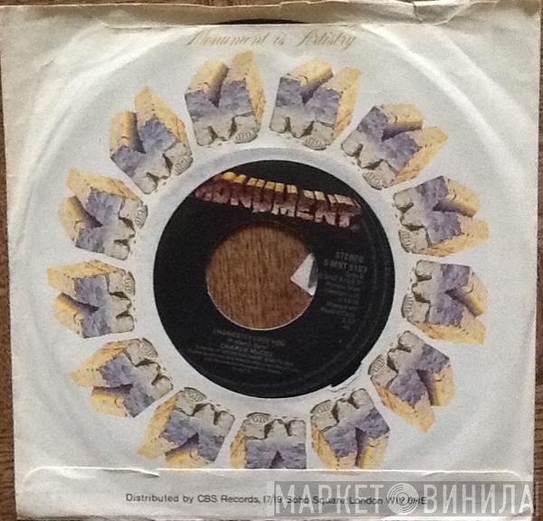 Charlie McCoy  - Stone Fox Chase