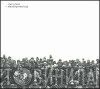 Cherryfalls - Standing Watching