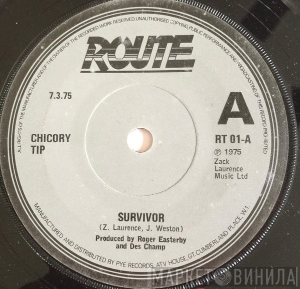Chicory Tip - Survivor