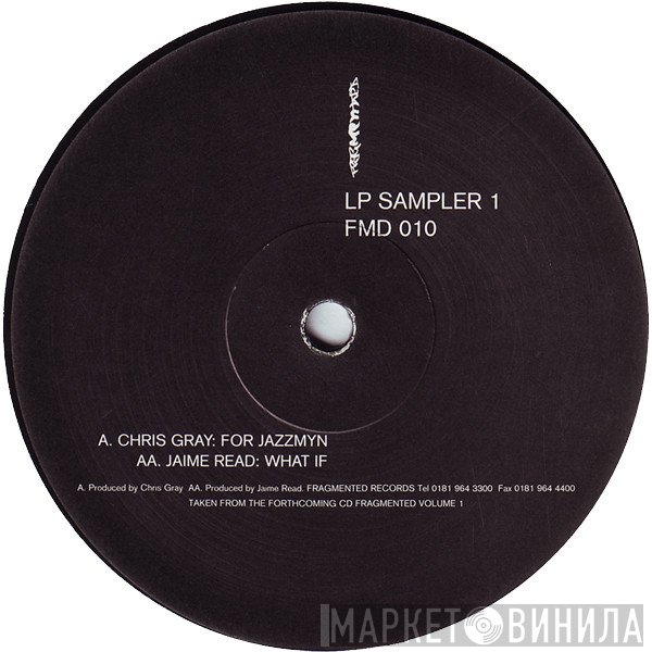 Chris Gray / Jaime Read  - LP Sampler 1