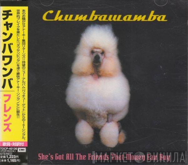 Chumbawamba - She's Got All The Friends That Money Can Buy