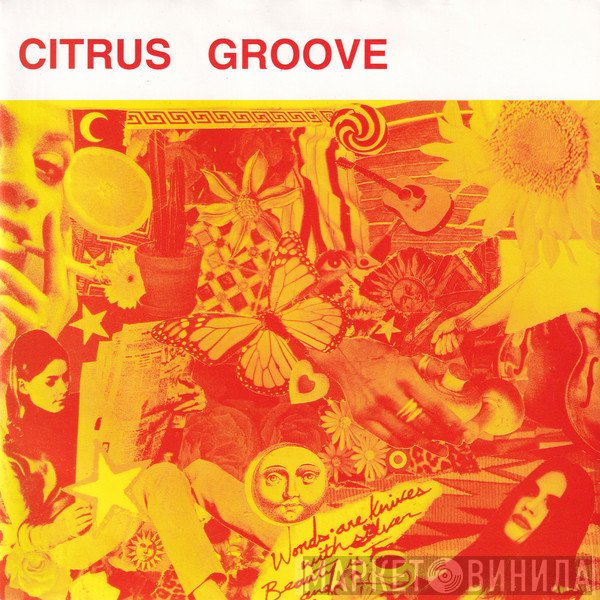 Citrus Groove - Mesmerized