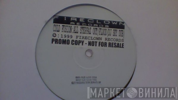 Cold Fusion  - All Steppaz Out / Flood (DJ Sky Dub)
