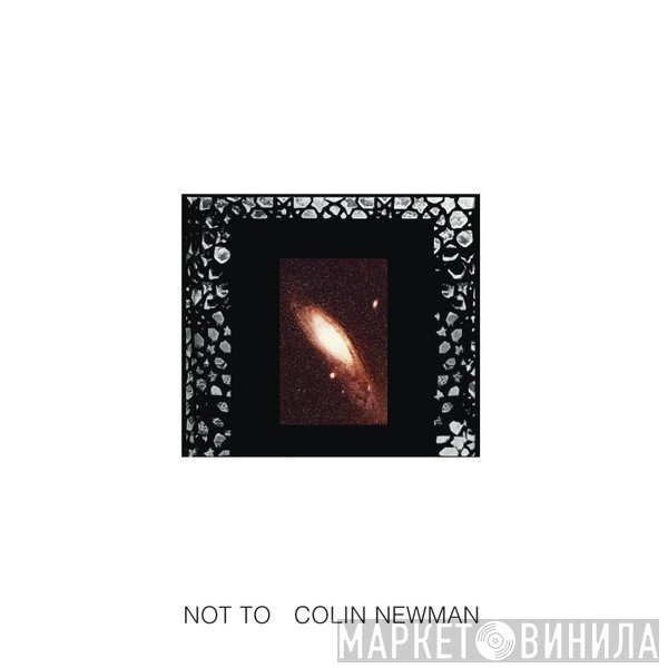 Colin Newman  - Not To
