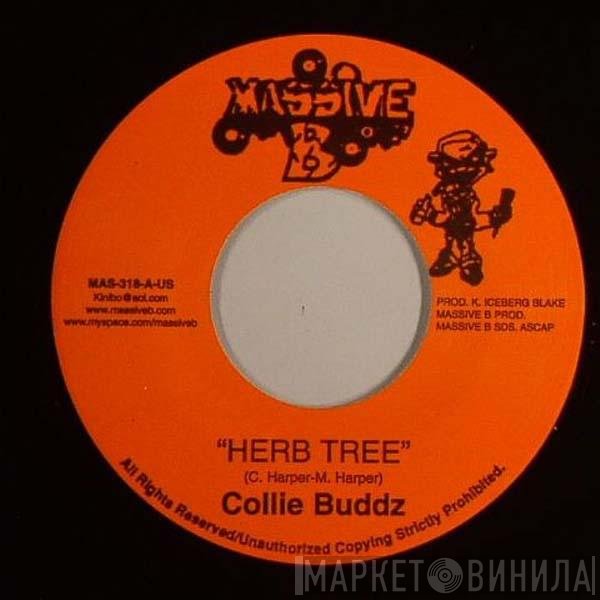 Collie Buddz  - Herb Tree / Hustle