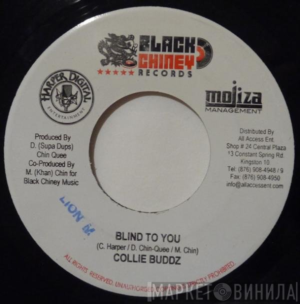 Collie Buddz  - Blind To You