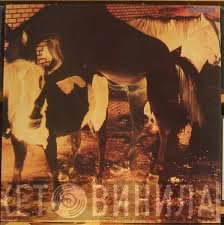 Colourbox  - Colourbox