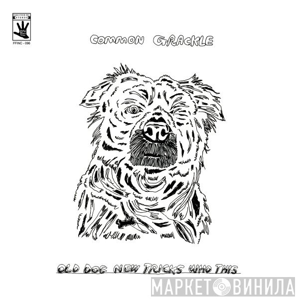Common Grackle - Old Dog New Tricks Who This